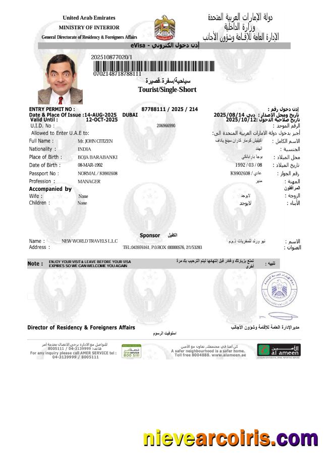 UAE e-visa, version 9
